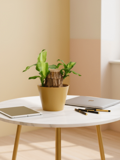 Brazilian Wood Plant