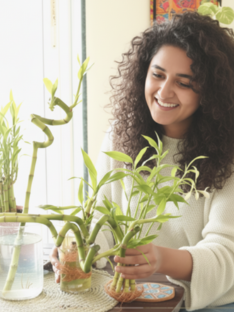 Ananya R. - Testimonial - Parijaat plant and Lucky Bamboo