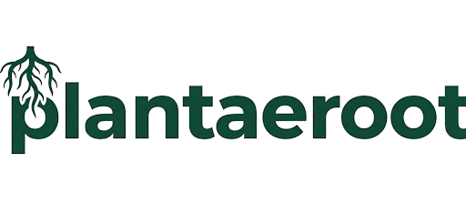 Plantaeroot