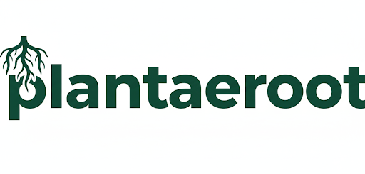 Plantaeroot