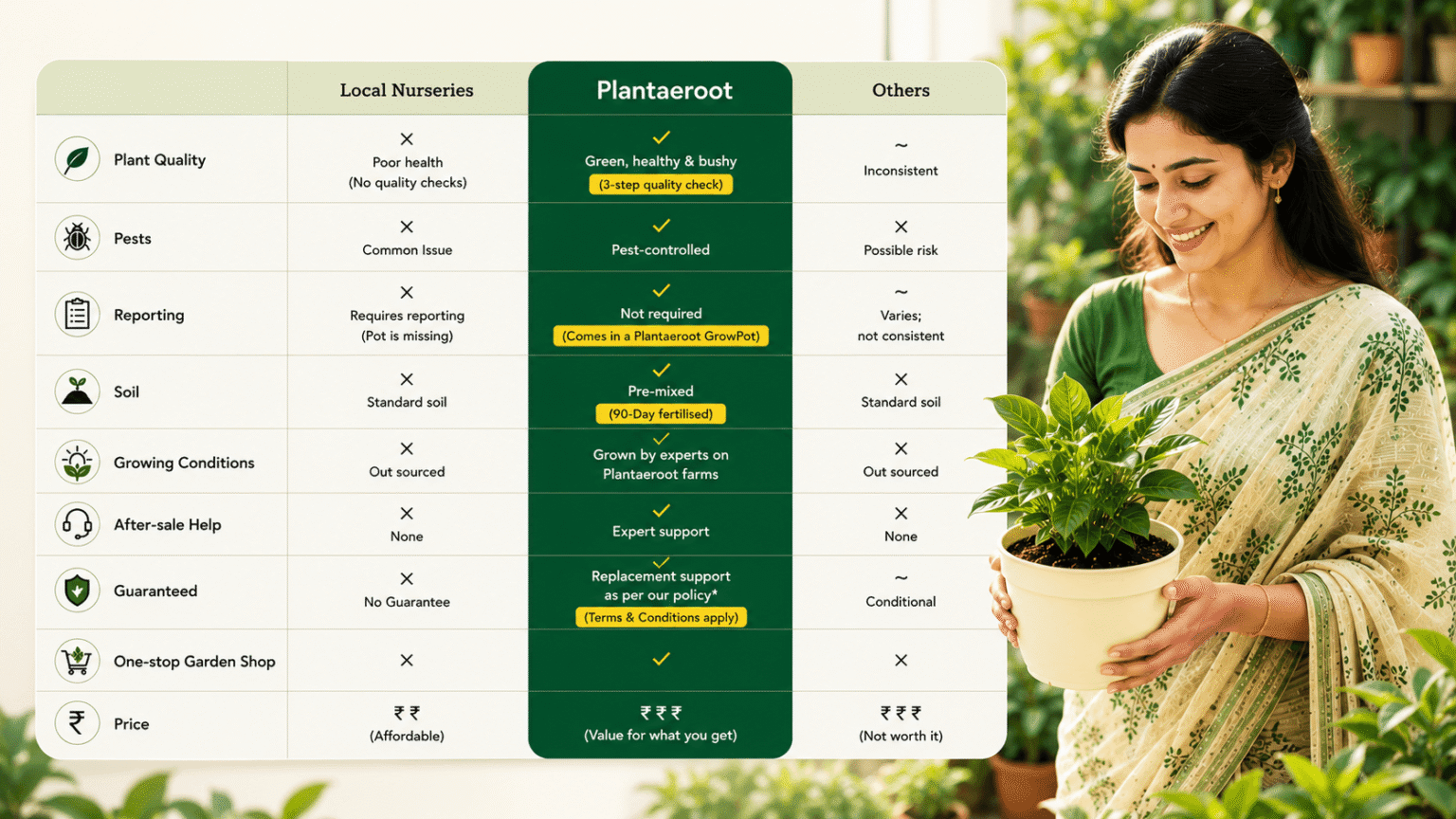 Plantaeroot gallery