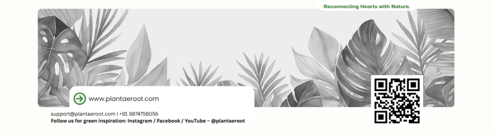 Reconnecting Hearts with Nature.