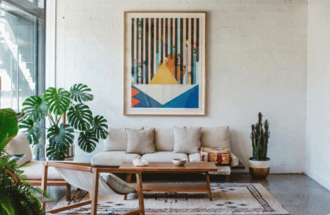 Which Plant Purifies Air the Best? Complete Guide for Indian Homes