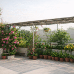 Which Plant Gives 12 Months of Flowers in India