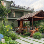 Sun-Loving Outdoor Plants for Indian Gardens — Flowers, Fruits, Herbs & More