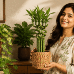 Vastu Plants for Home: Indoor Benefits, Direction Guide & Complete Room-by-Room Placement Tips